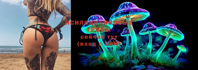 даркнет состав  Куса  Псилоцибиновые грибы Psilocybe 